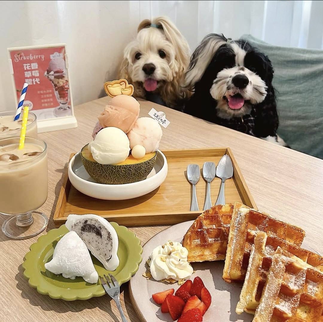 屏東推寵物友善 走訪店家拿好禮、親子毛孩一起玩