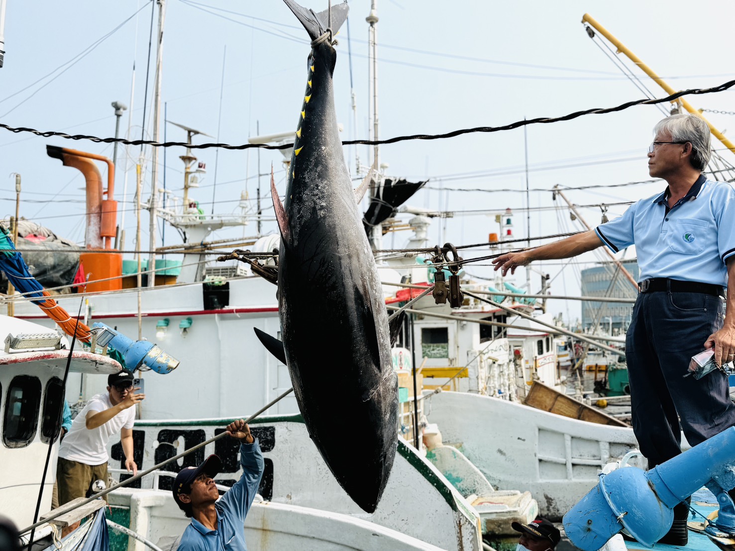 2026屏東東港第一鮪報到 資深船長洪福家奪頭采