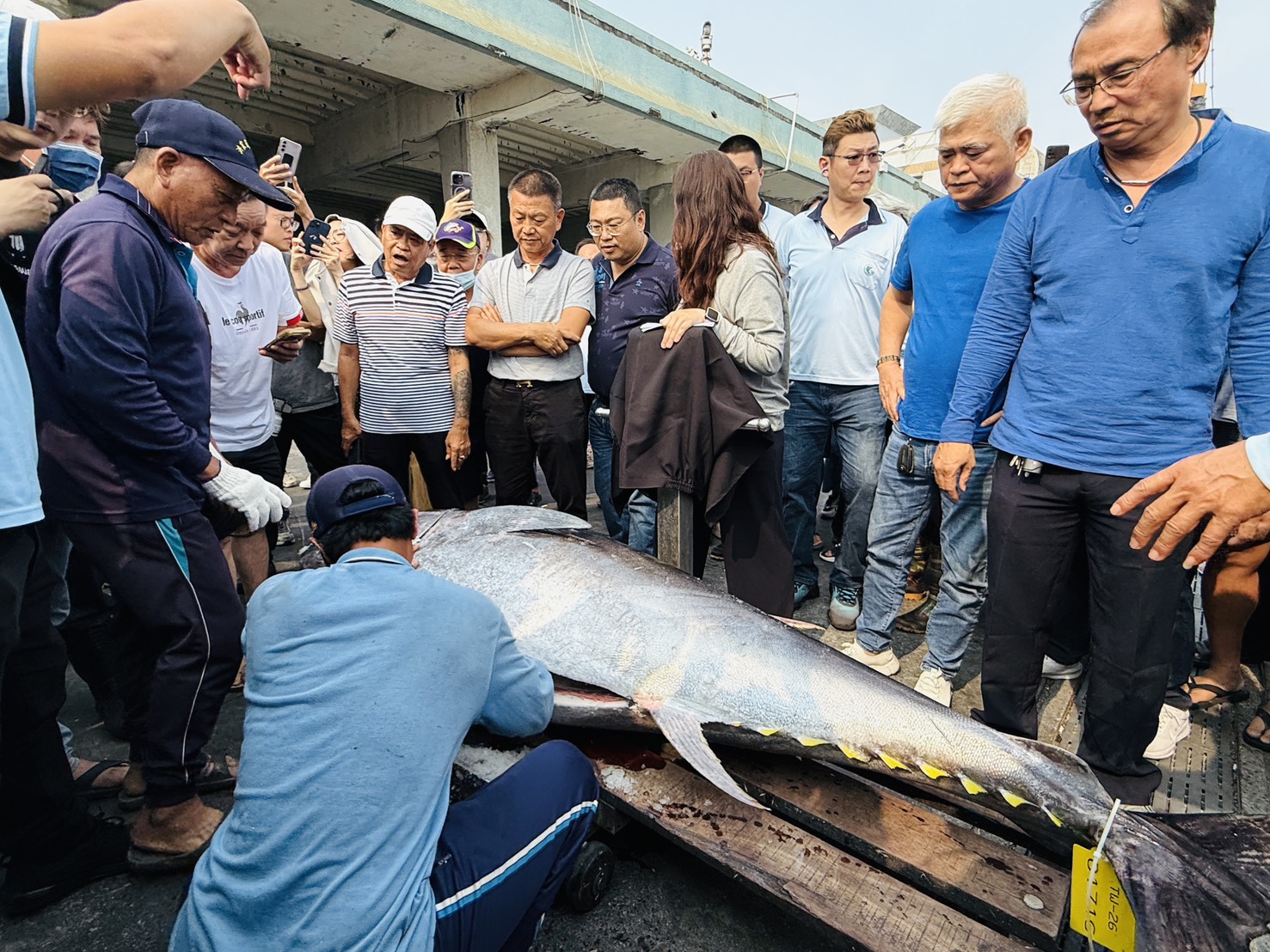 2026屏東東港第一鮪報到 資深船長洪福家奪頭采